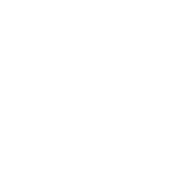 A1